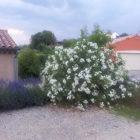 Des Vignes Apartment *