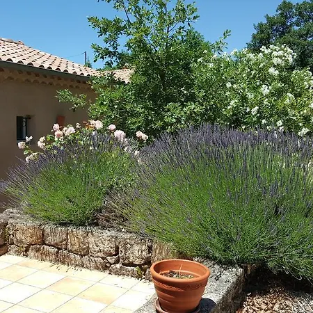 Apartment Des Vignes