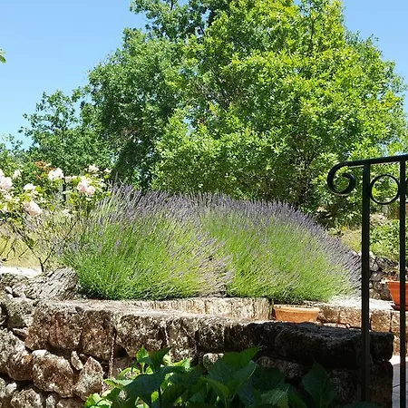 Apartment Des Vignes Rosieres (Ardeche)