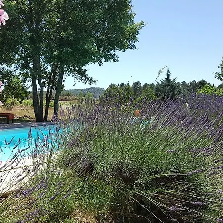Des Vignes Apartment *